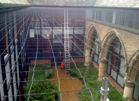 bird control