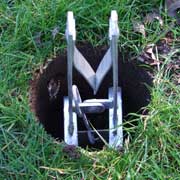 Mole pest removal monmouth